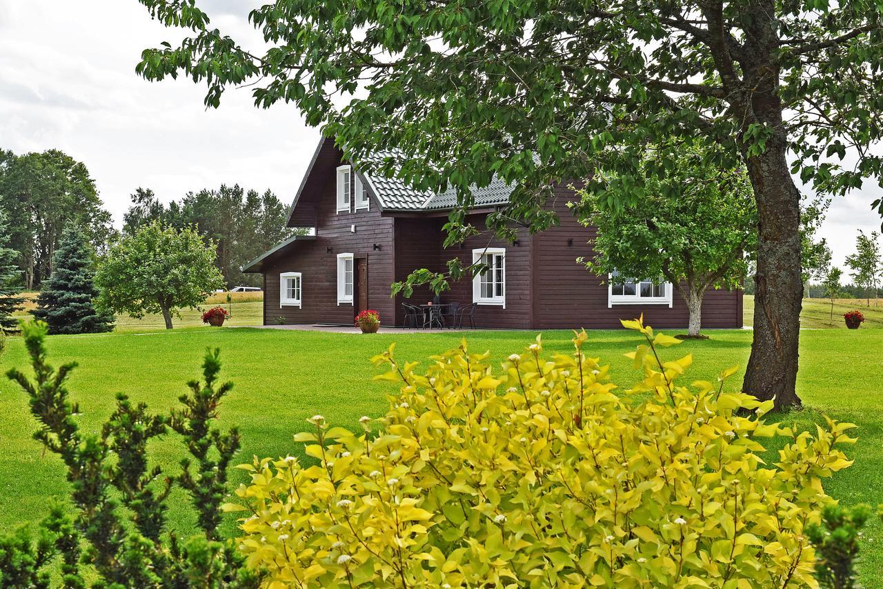 Sodyba Puodziu Kaimas Mackenai Buitenkant foto